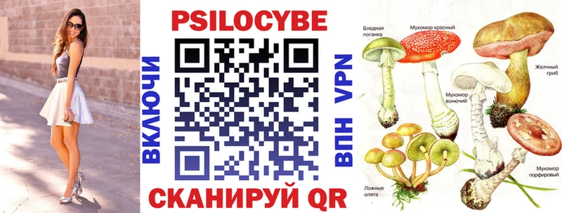 Купить закладки  Киров  Псилоцибиновые грибы прущие грибы 